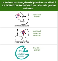 Mediation équine et équitation adaptée 