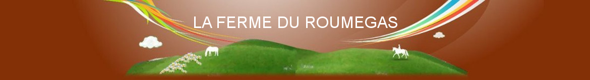 LA FERME DU ROUMEGAS